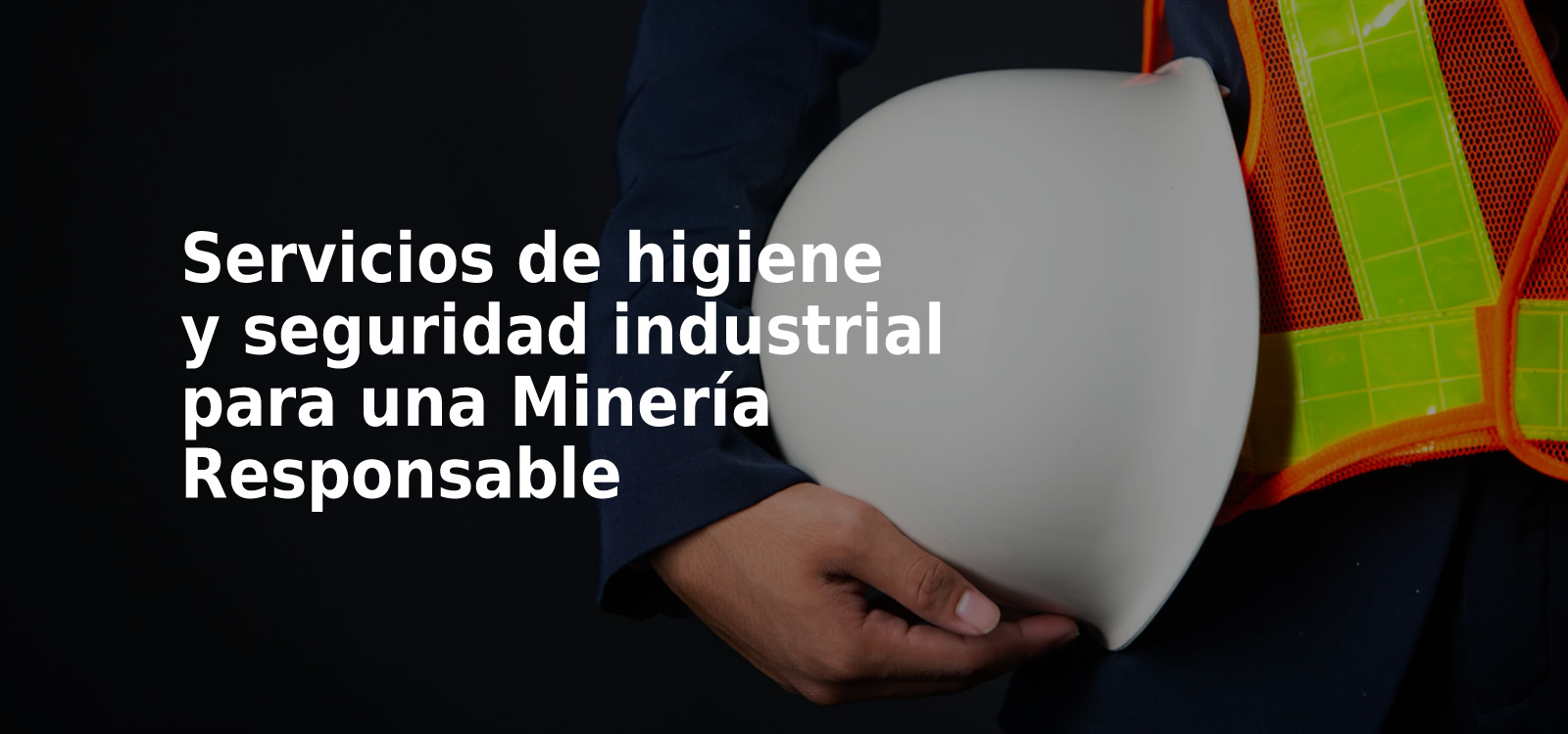 higiene - seguridad